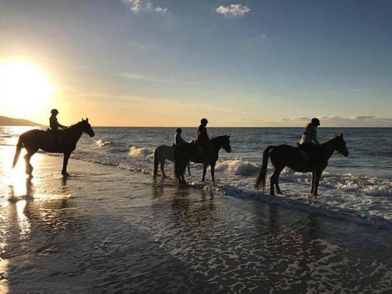 Les Pieds Dans L'Eau - Acces Direct A La Plage Bernières-sur-Mer 外观 照片