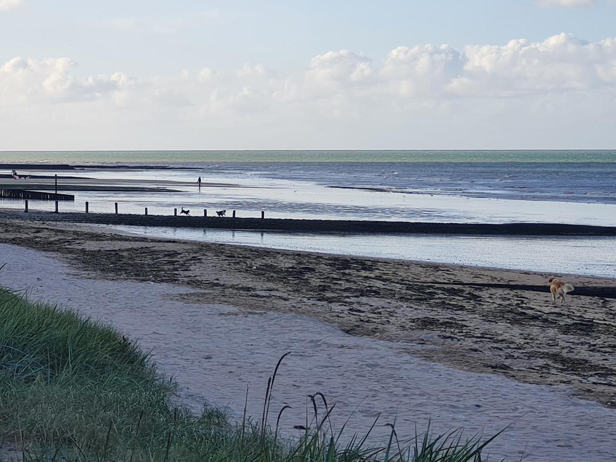 Les Pieds Dans L'Eau - Acces Direct A La Plage Bernières-sur-Mer 外观 照片
